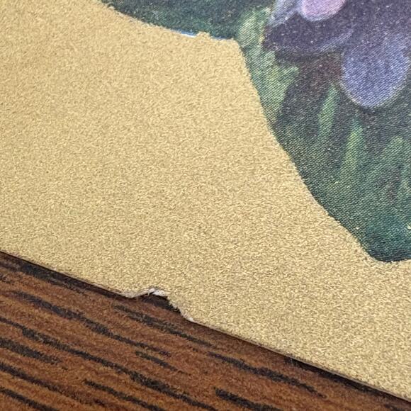 Antique Postcards Flowers Nature Lot of 5 Early 1900s Embossed Gilt Floral - Picture 3 of 16